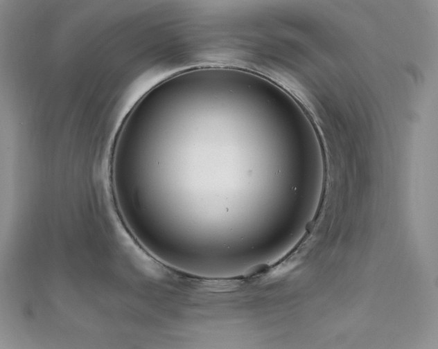 X0000112111440200908041532