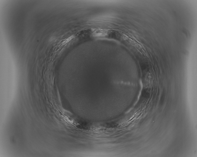 X0000112111441200908041531