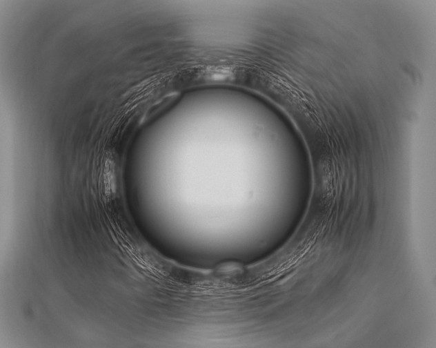 X0000112111442200908041531