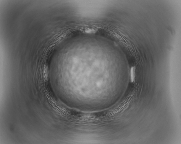 X0000112111443200908041531