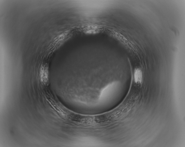 X0000112111444200908041531