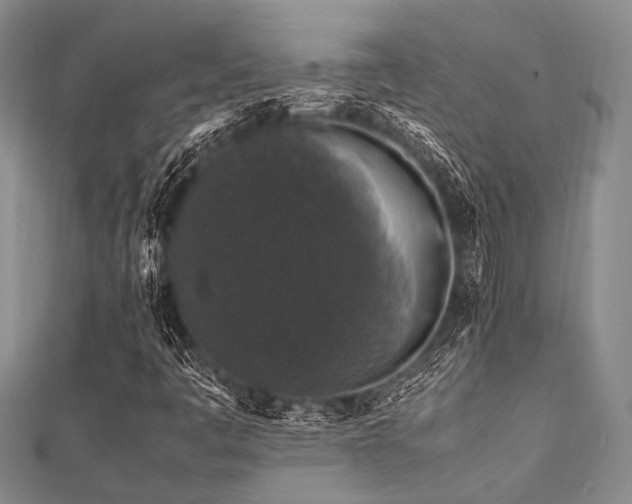 X0000112111445200908041531