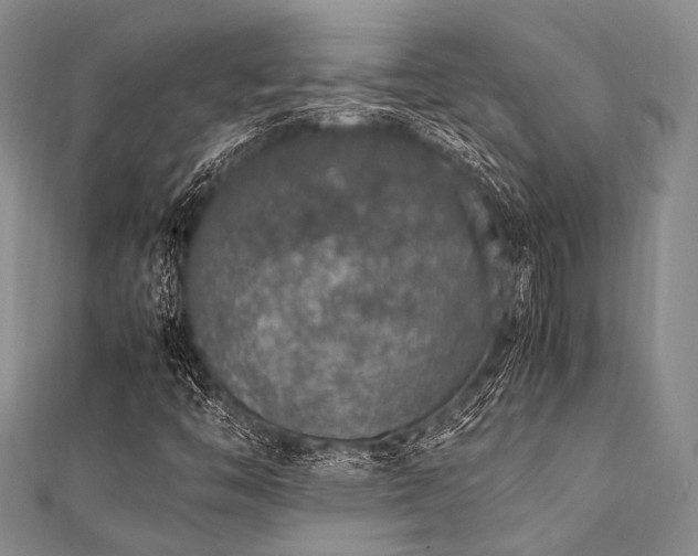 X0000112111446200908041531