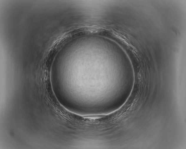 X0000112111447200908041531