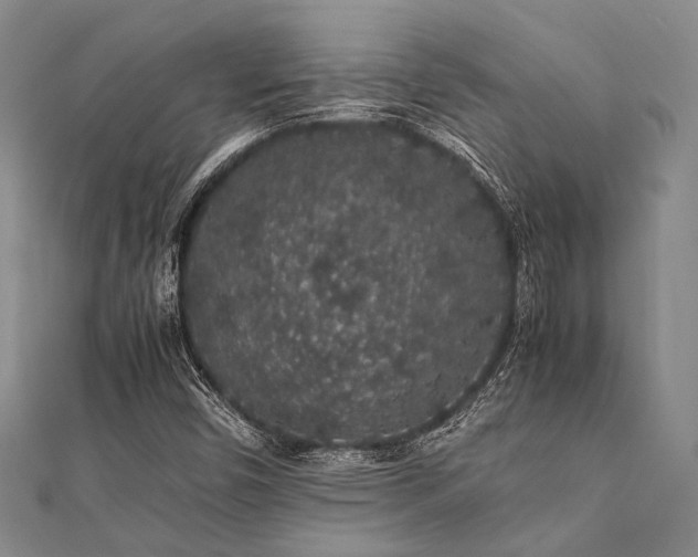 X0000112111450200908041531