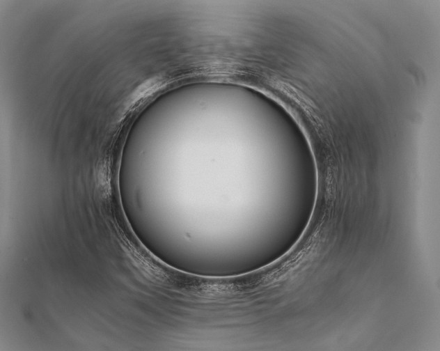 X0000112111451200908041531