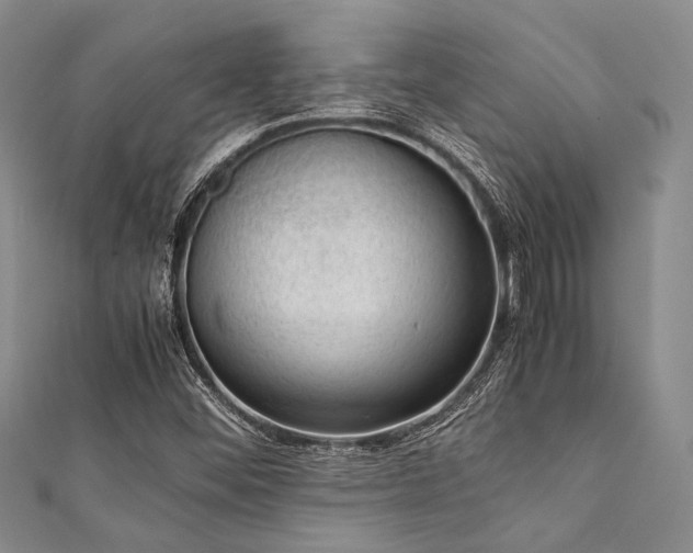 X0000112111452200908041531