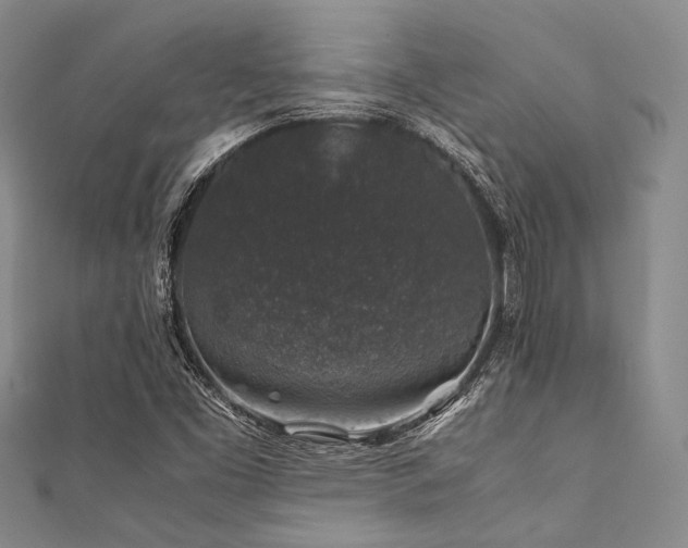 X0000112111453200908041531