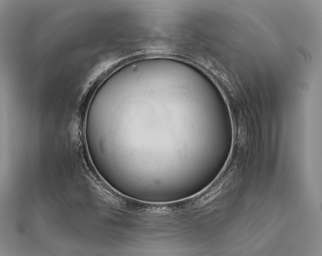 X0000112111454200908041531