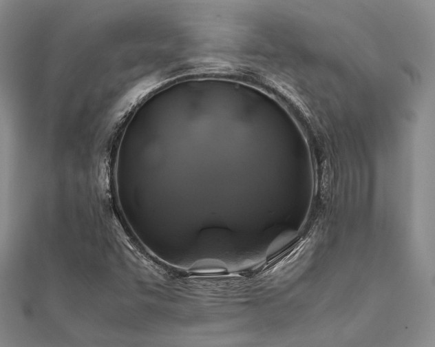 X0000112111455200908041531