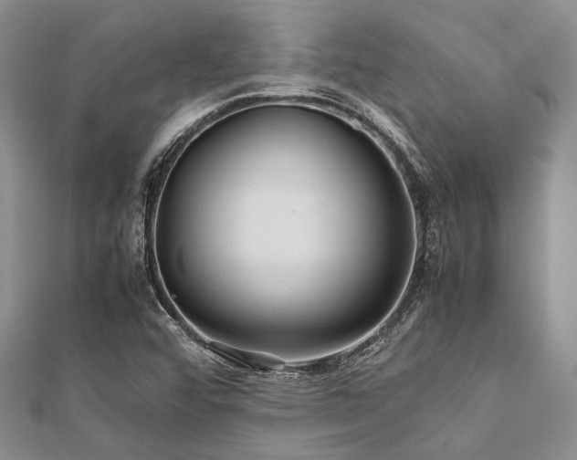 X0000112111456200908041531