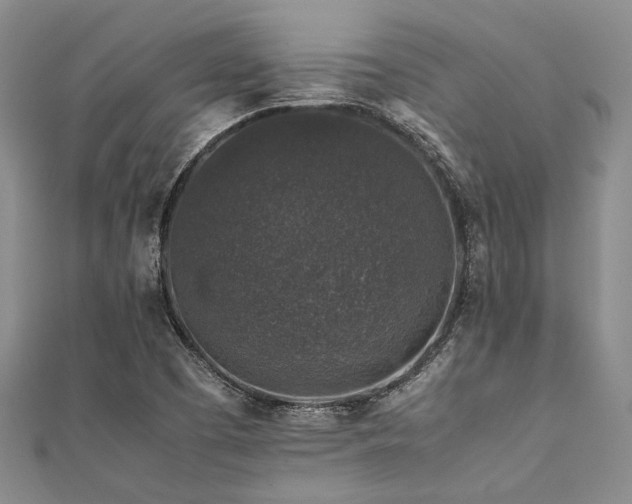 X0000112111457200908041531