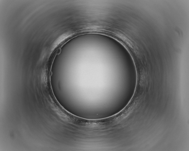 X0000112111458200908041531