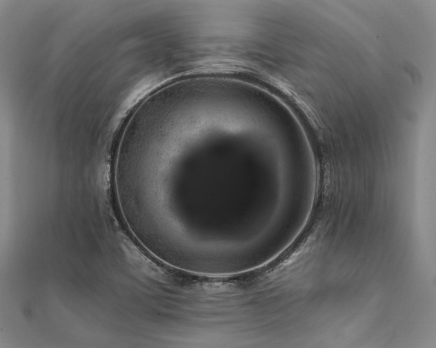 X0000112111459200908041531