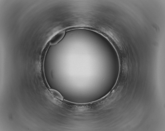 X0000112111460200908041531