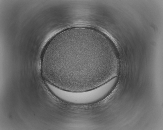 X0000112111461200908041531