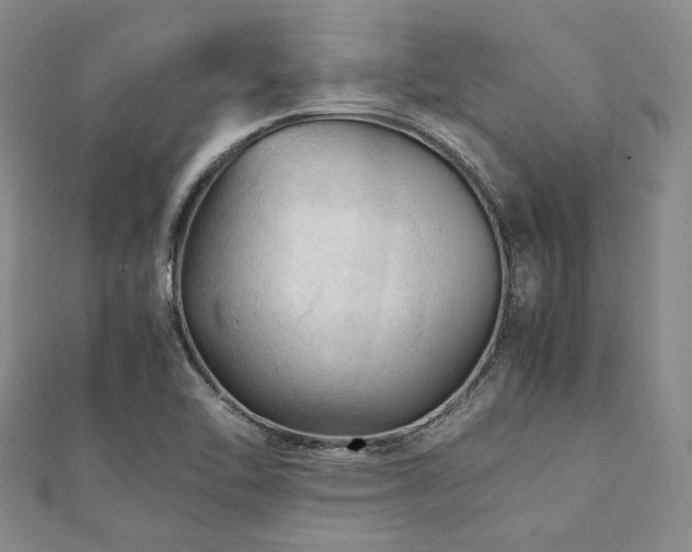 X0000112111462200908041531