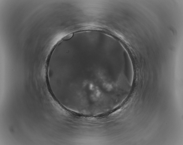 X0000112111463200908041531