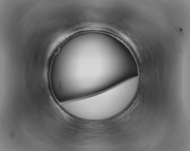 X0000112111464200908041531