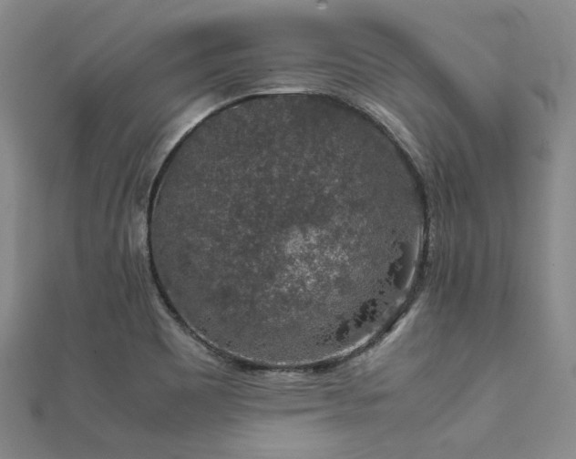 X0000112111465200908041531