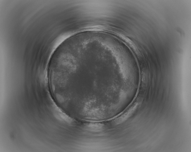 X0000112111466200908041531