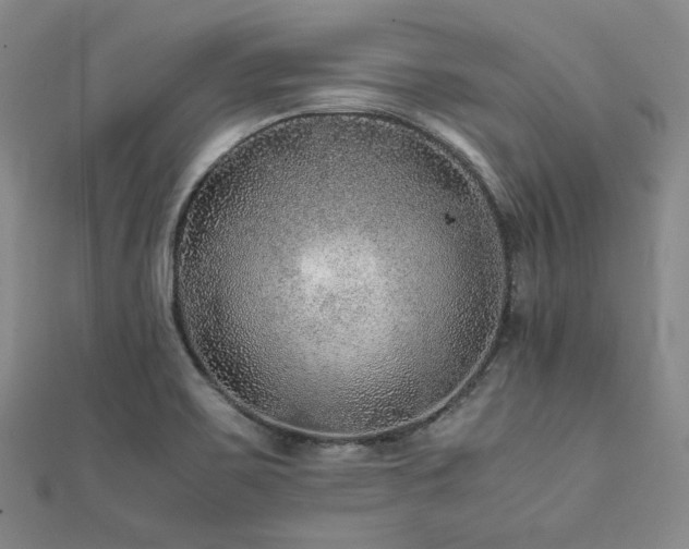 X0000112111467200908041531