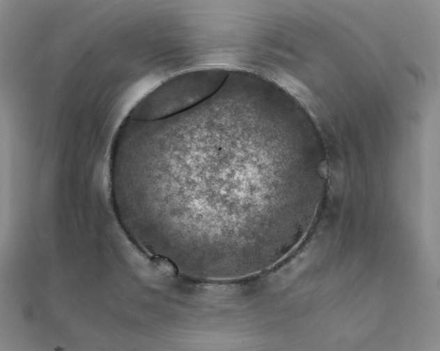 X0000112111469200908041531