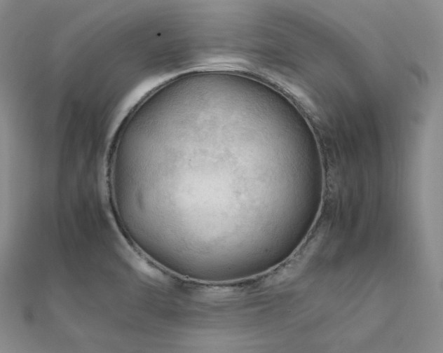 X0000112111470200908041531