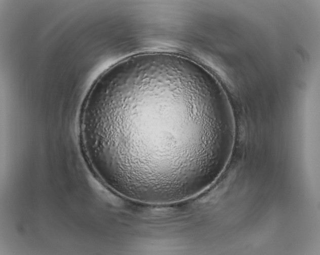 X0000112111471200908041531