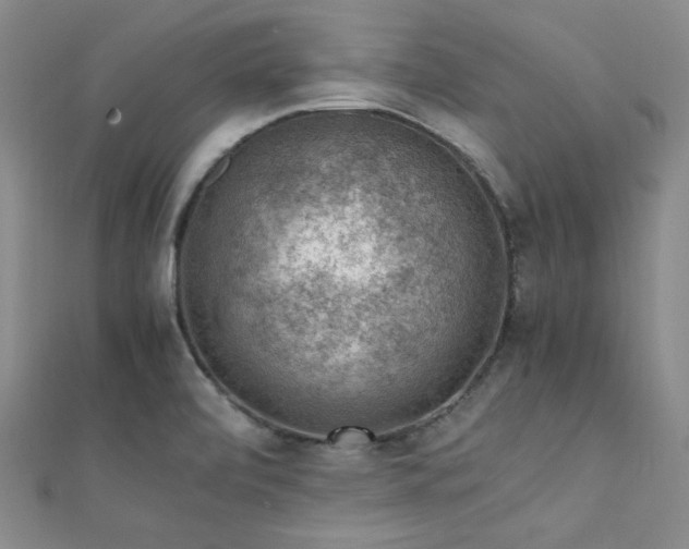 X0000112111472200908041531