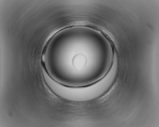 X0000112111473200908041531