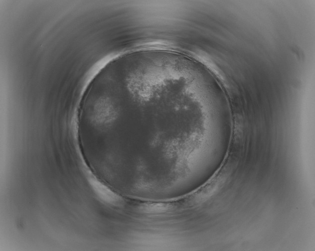 X0000112111474200908041531