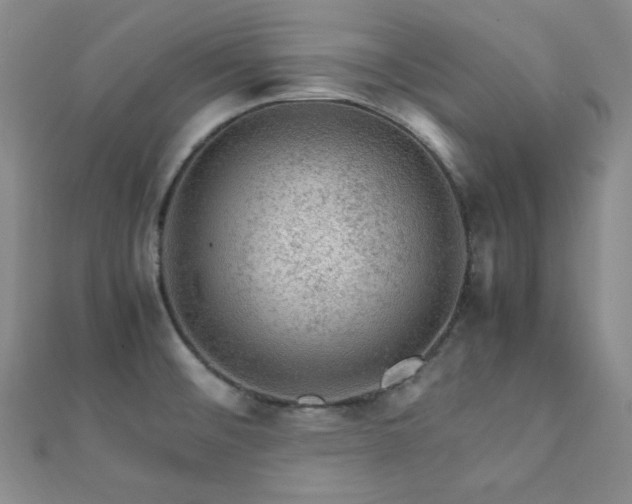 X0000112111476200908041531