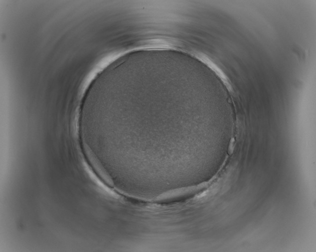 X0000112111477200908041531