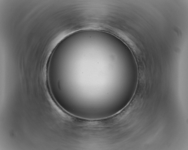 X0000112111479200908041531