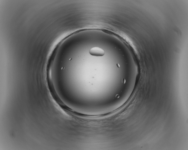 X0000112111480200908041531