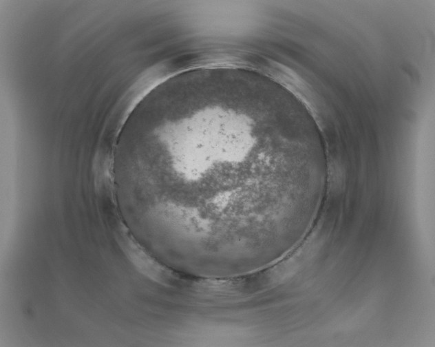 X0000112111481200908041531