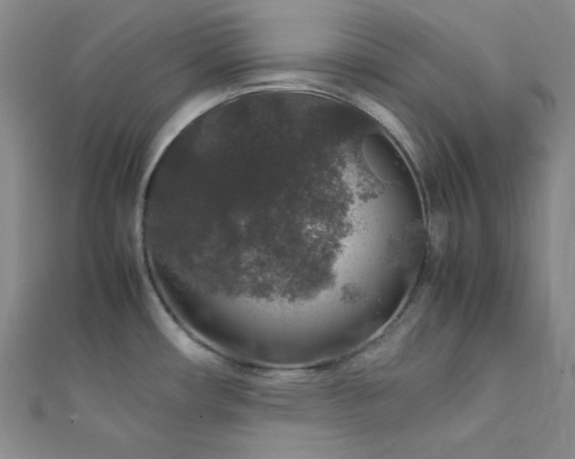 X0000112111482200908041531