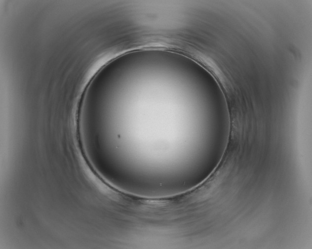 X0000112111483200908041531