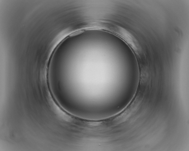 X0000112111484200908041531