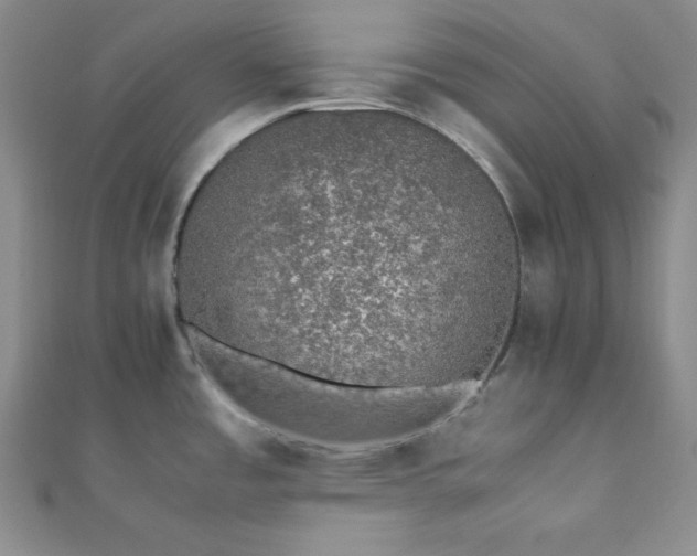 X0000112111485200908041531