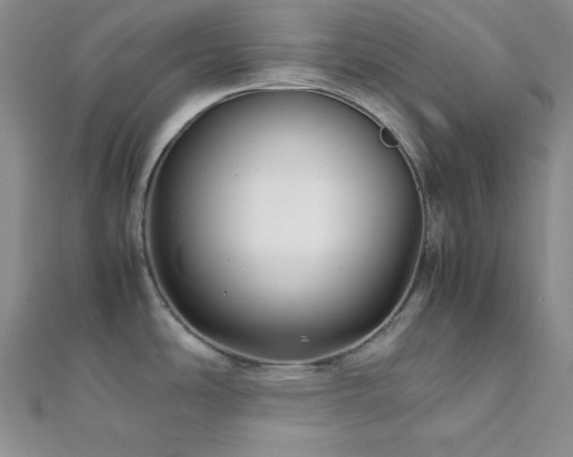 X0000112111486200908041531