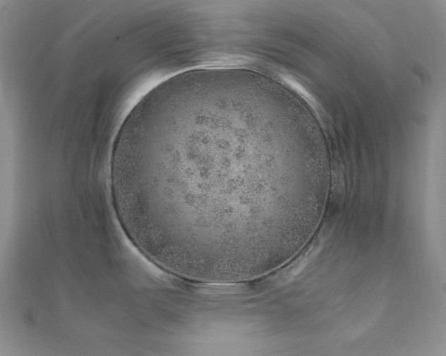 X0000112111487200908041531