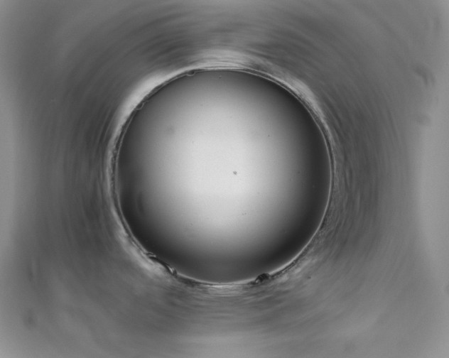 X0000112111488200908041531