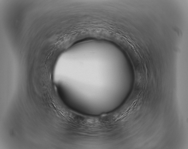 X0000112111489200908041530