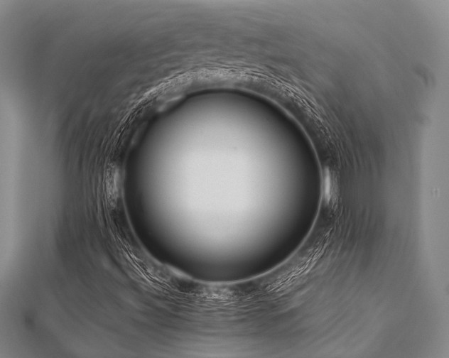 X0000112111492200908041530