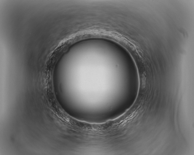 X0000112111494200908041530