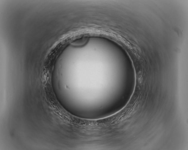 X0000112111495200908041530