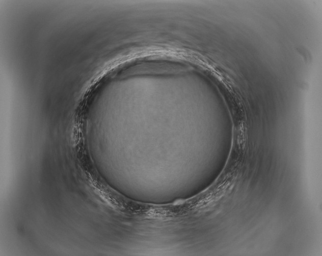 X0000112111496200908041530