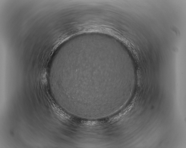 X0000112111497200908041530